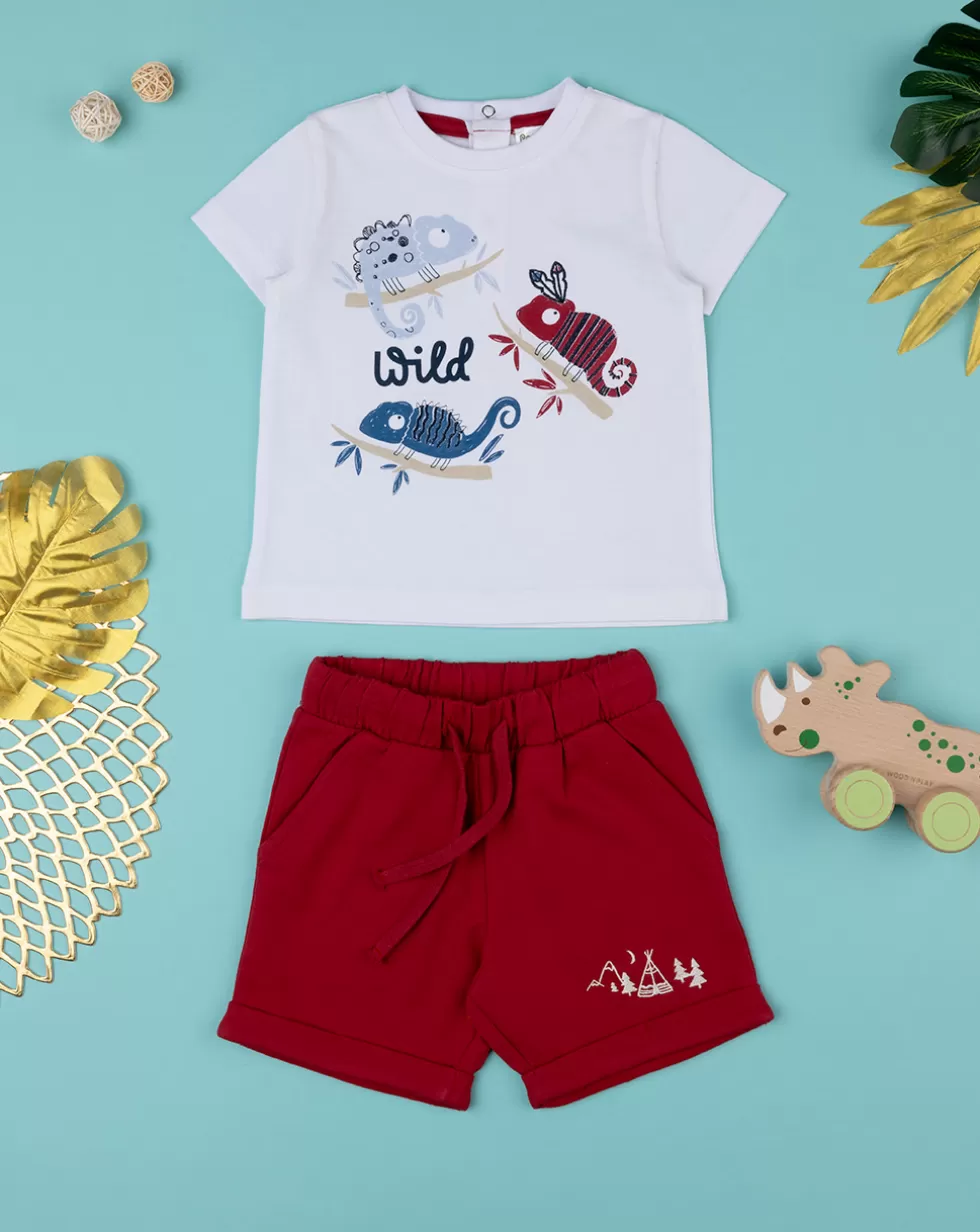 Set Due Pezzi Bimbo T-Shirt + Felpa-Prenatal Best Sale